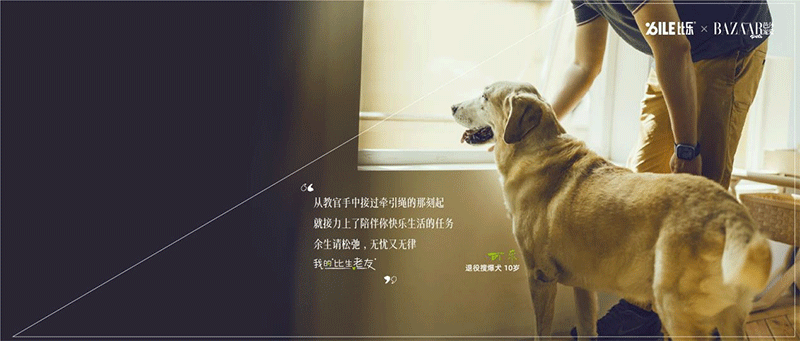 ILE比乐× BAZAAR（芭莎宠爱联动图）